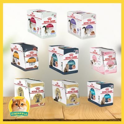 Royal Canin Wet Cat Food 85g Gravy (1BOX)