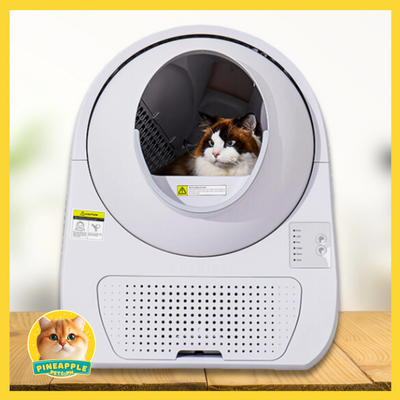 Catlink Young Automatic Cat Litterbox