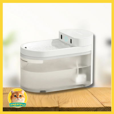 Catlink Pure 3 AI Wireless Fountain