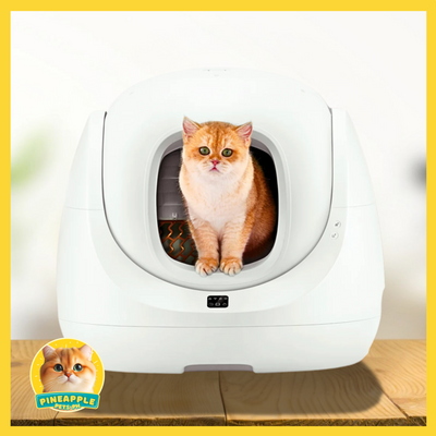 Catlink Baymax Scooper SE Automatic Litterbox