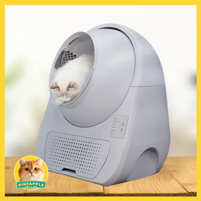 Catlink Young Automatic Cat Litterbox