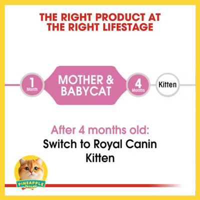Royal Canin Mother and Babycat 4kg