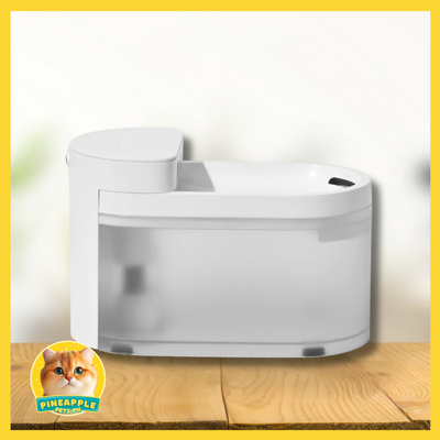 Catlink Pure 3 AI Wireless Fountain