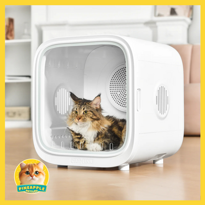 Catlink Smart Pet Dryer Box