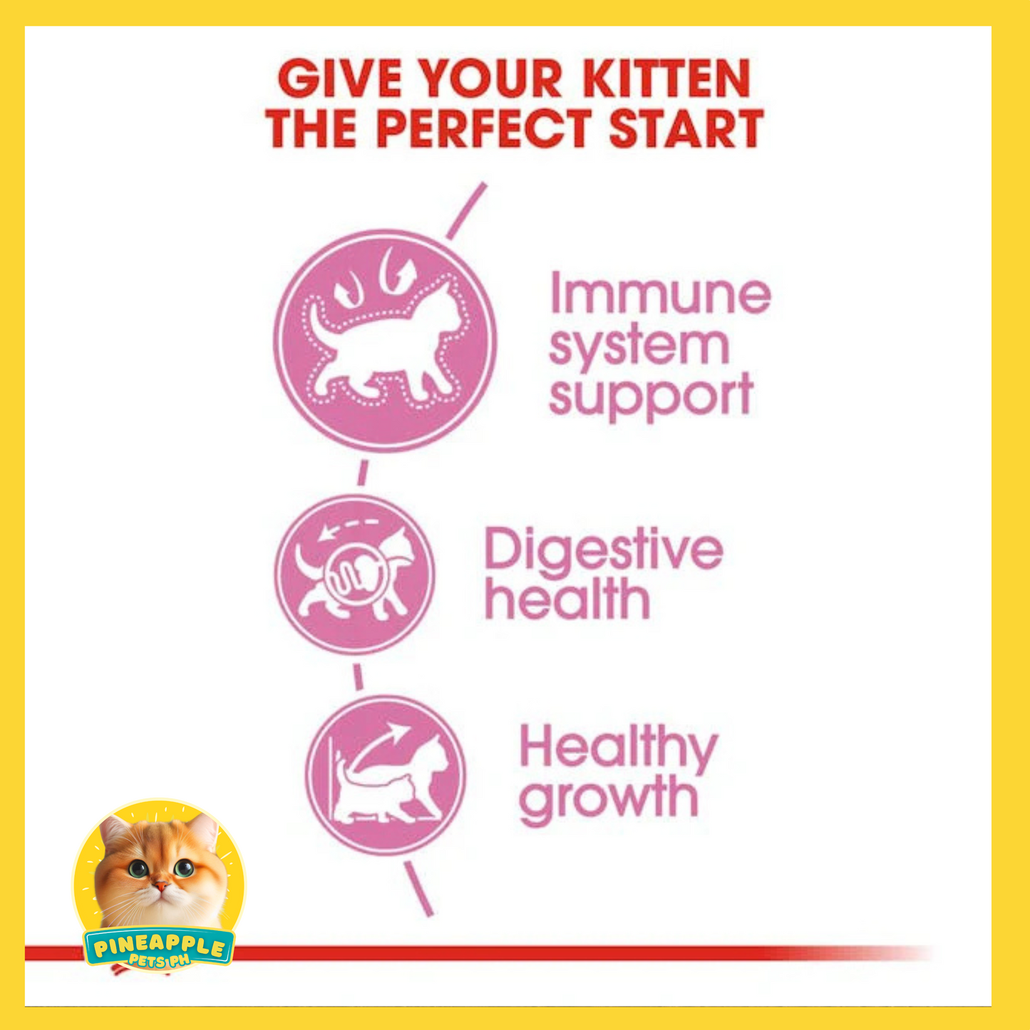 Royal Canin Kitten Dry Food 2kg