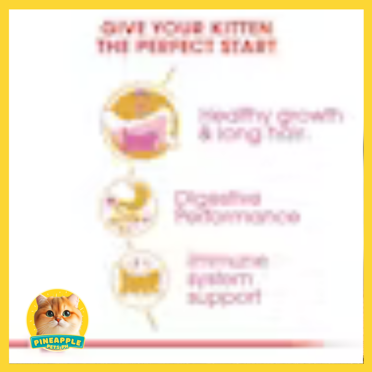 Royal Canin Persian Adult and Kitten Cat Food 2kg