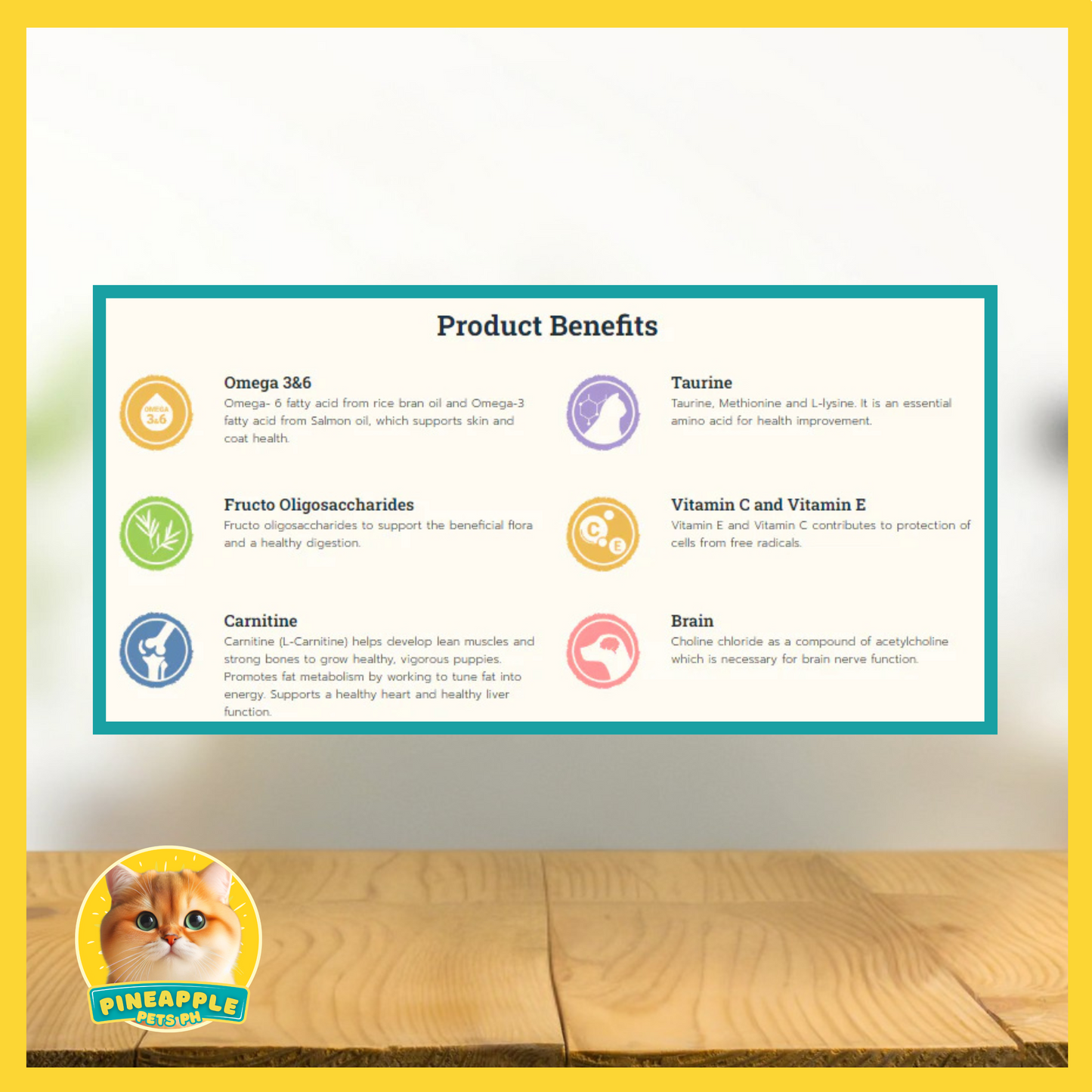 Buzz Kitten & Pregnant Cat Food 3kg