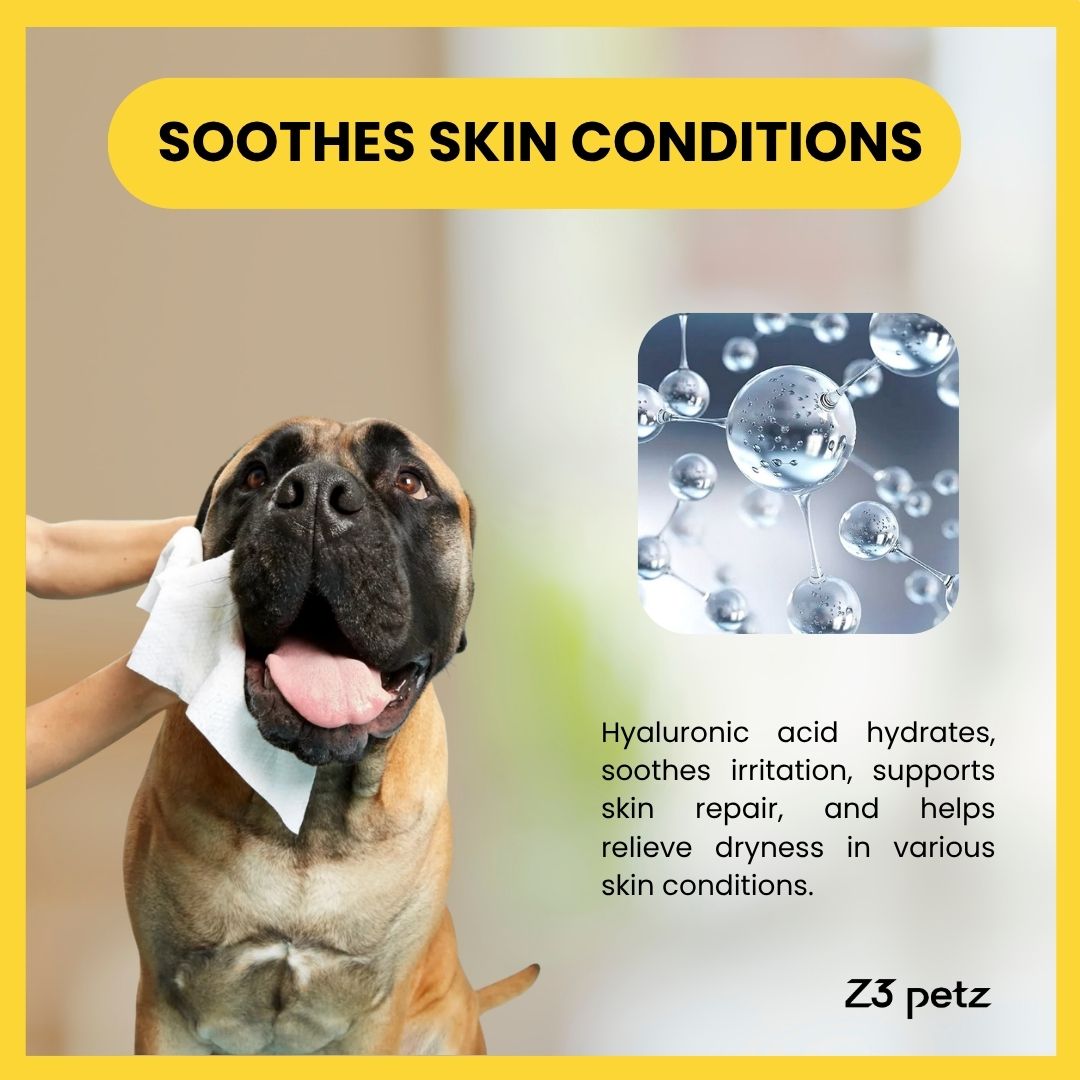 Z3 Hyaluronic Acid Pet Wipes