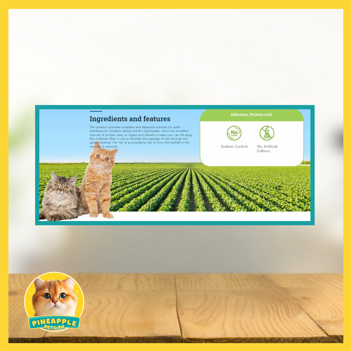 Buzz Hair & Skin Cat Food 3kg