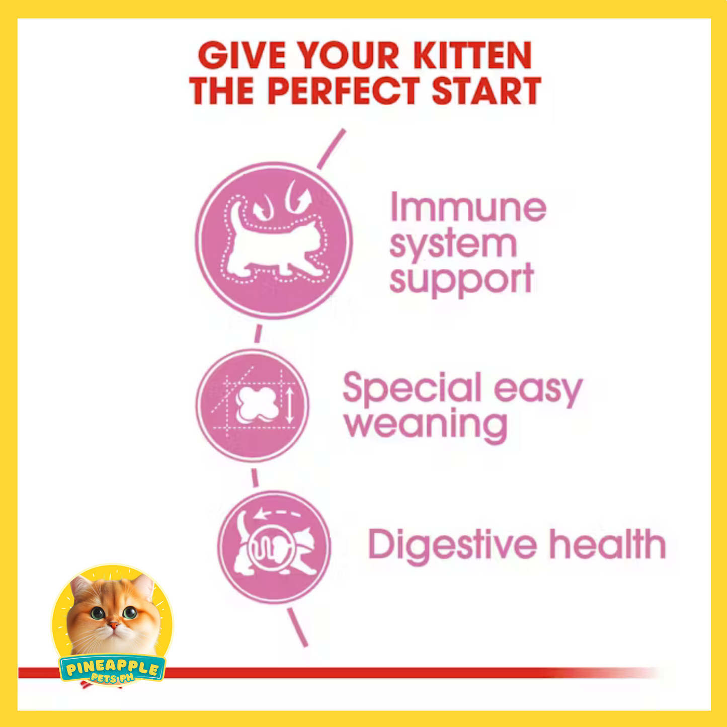 Royal Canin Mother and Babycat 4kg