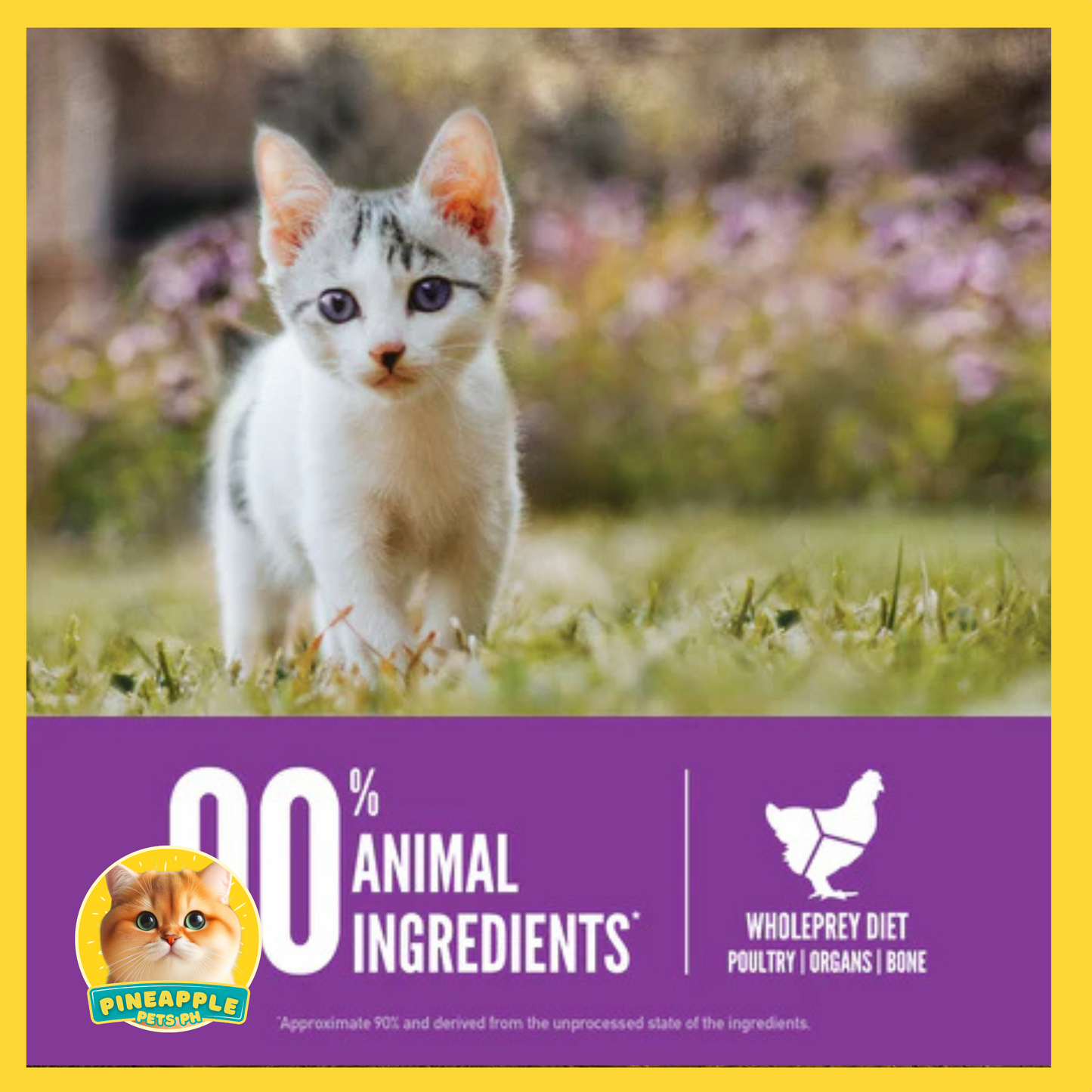 Orijen Kitten Cat Food 5.4kg