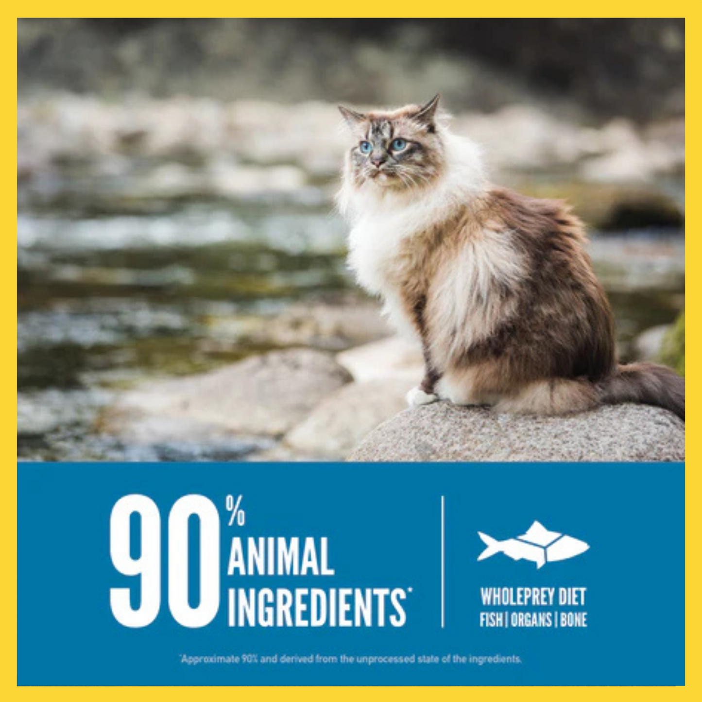 Orijen Six Fish Cat Food 5.4kg