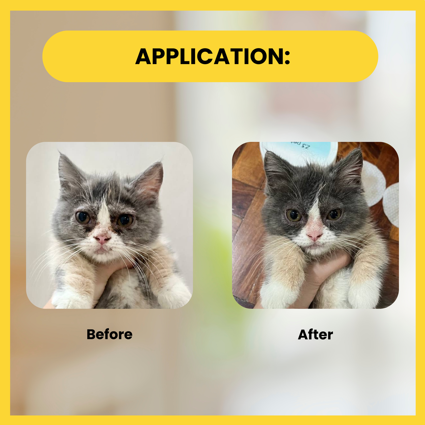 Z3 Hyaluronic Acid Pet Eye Clean Wipes