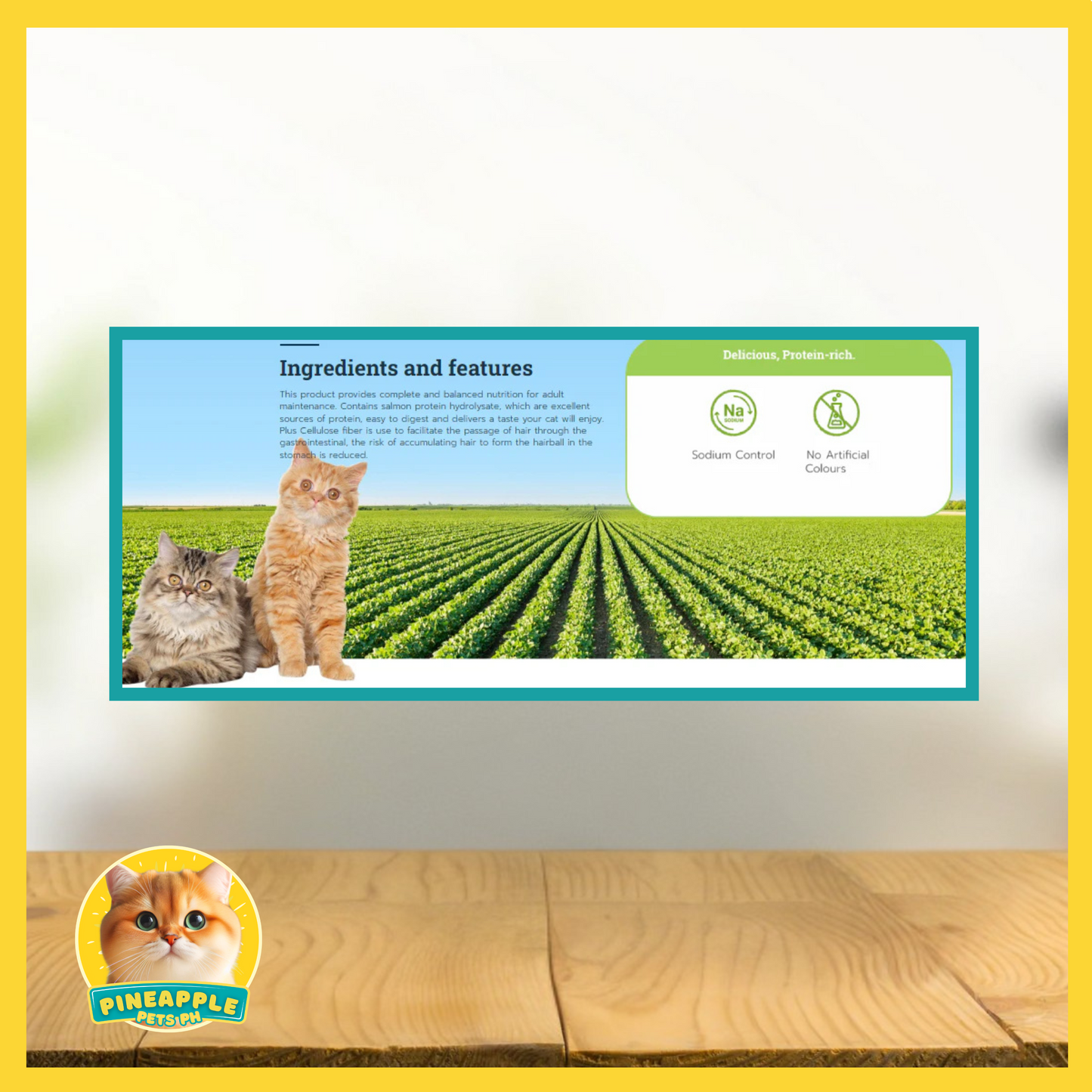 Buzz Kitten & Pregnant Cat Food 3kg