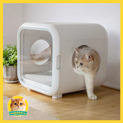 Homerunpet Drybo Plus Pet Dryer Box