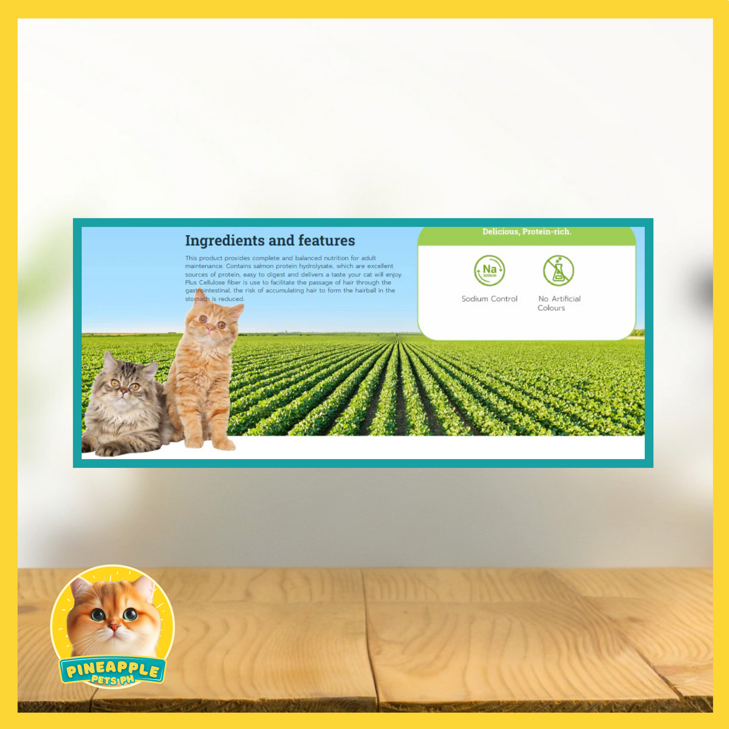 Buzz Weight + Cat Food 3kg