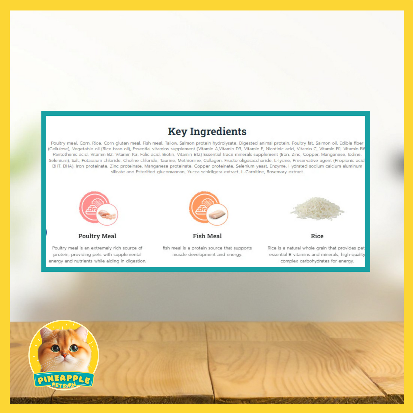 Buzz Hair & Skin Cat Food 3kg