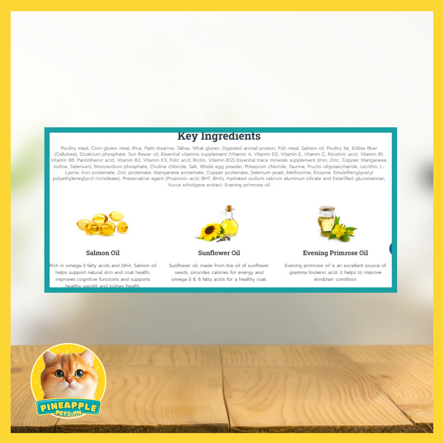 Buzz Kitten & Pregnant Cat Food 3kg