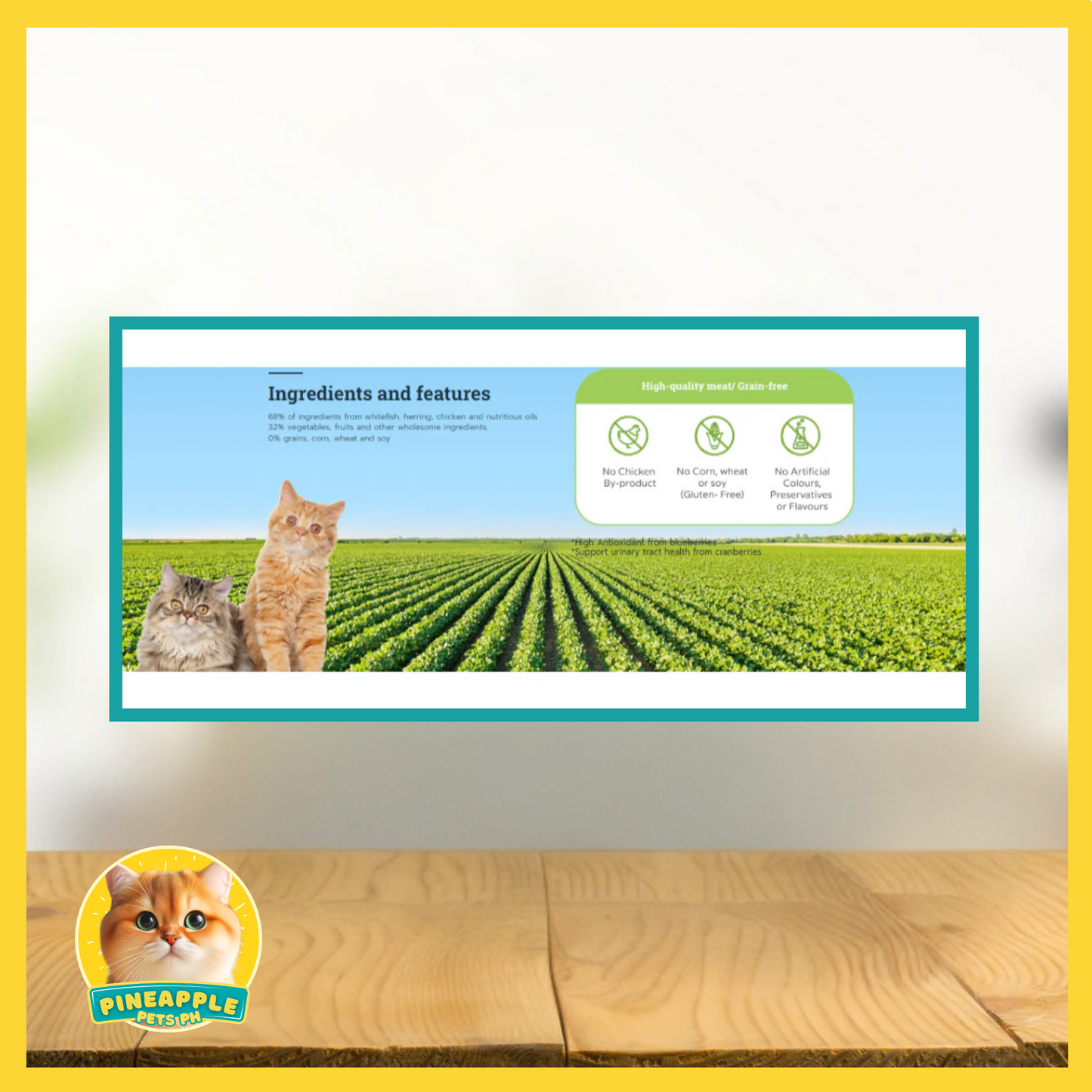 Buzz Netura Protein X Cat Food (Holistic/Grain Free) 1kg