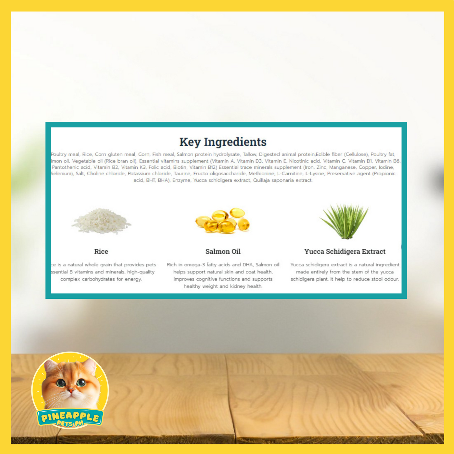 Buzz Indoor Cat Food 3kg