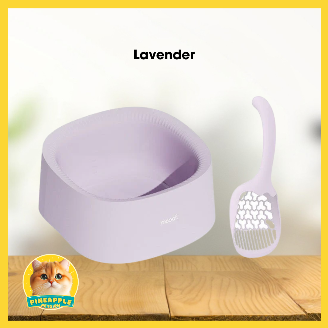 Meoof Minimalist High-Sided Litterbox with Scoop