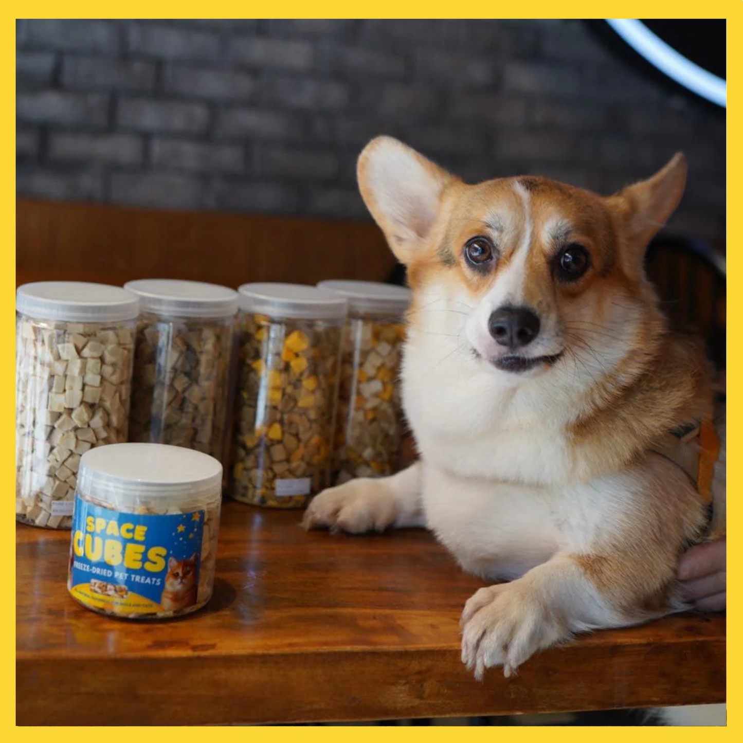 Space Cubes Freeze Dried Treats