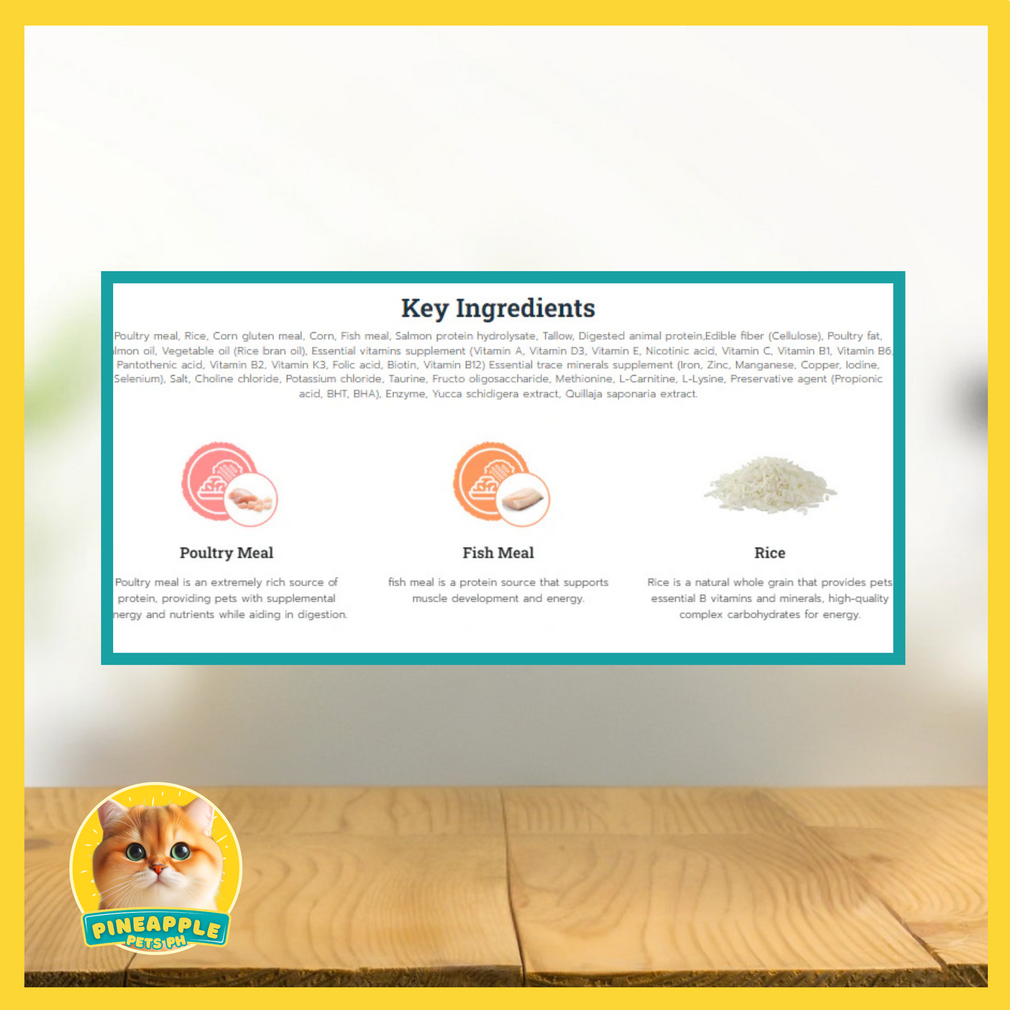 Buzz Indoor Cat Food 3kg