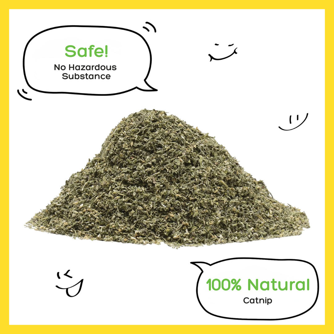 BokBok Catnip Cat Treats 25g