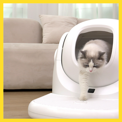 Catlink Stairs for Baymax Scooper SE