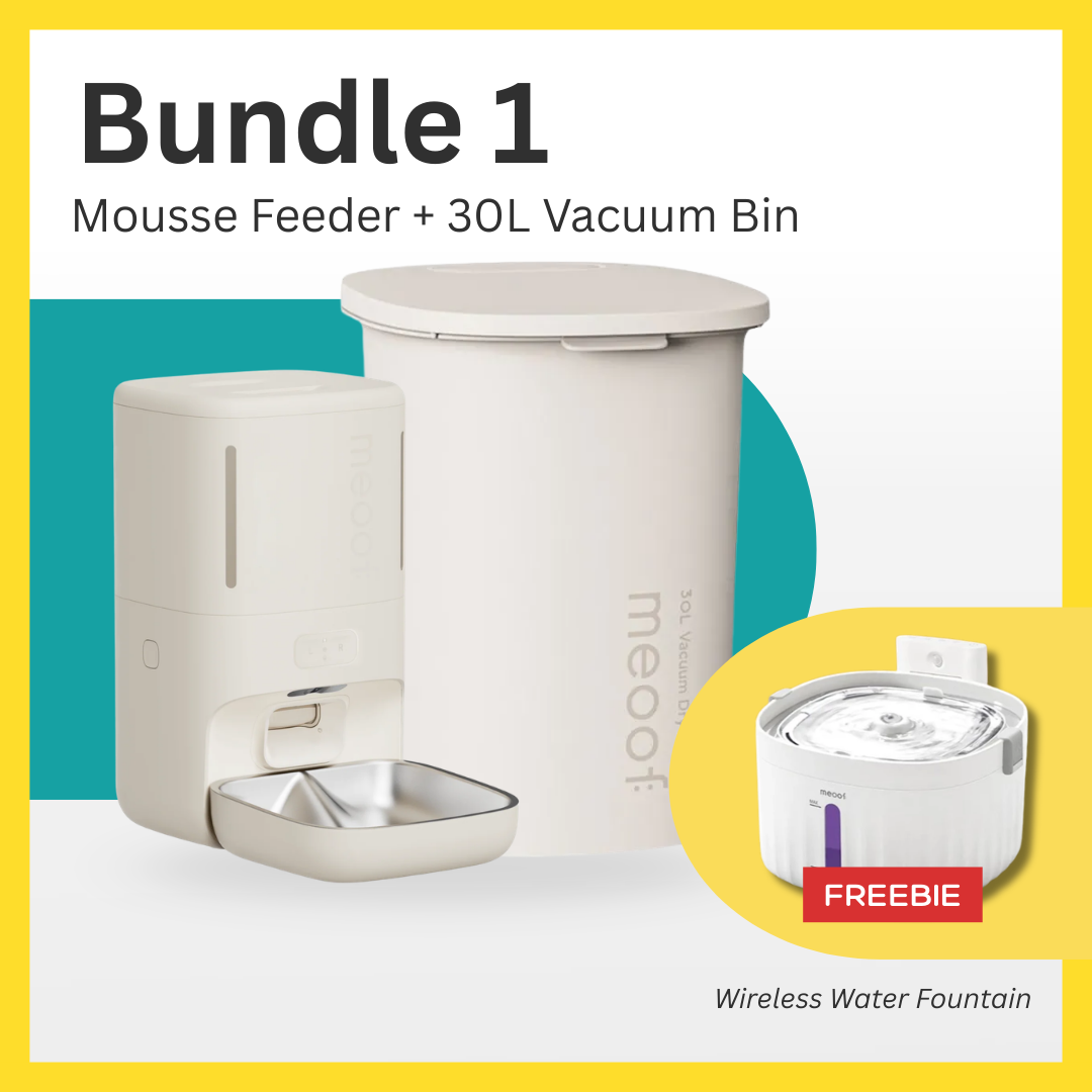Meoof Feeder Bucket Fountain Bundle