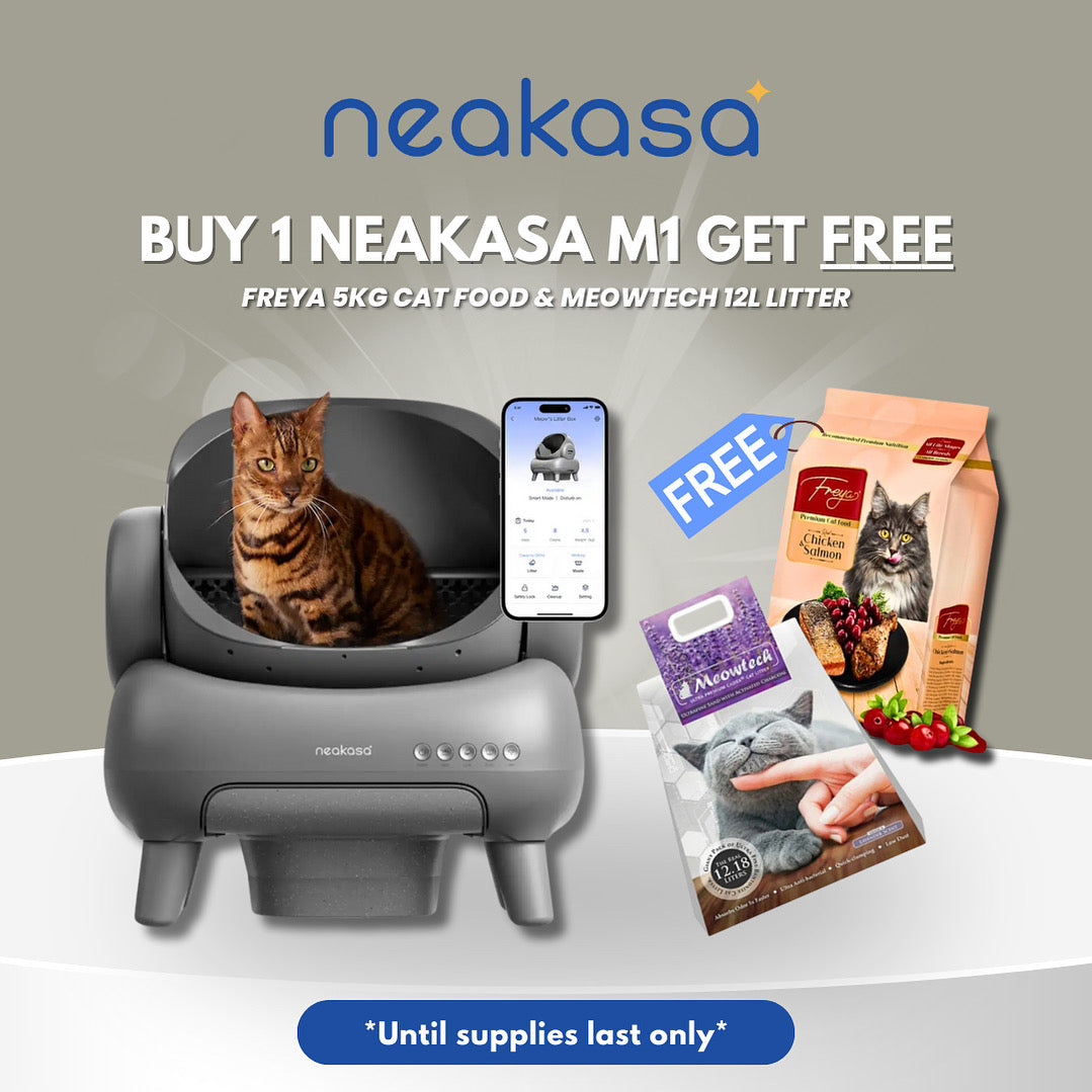 Neakasa M1 Open-top Automatic Cat Litterbox
