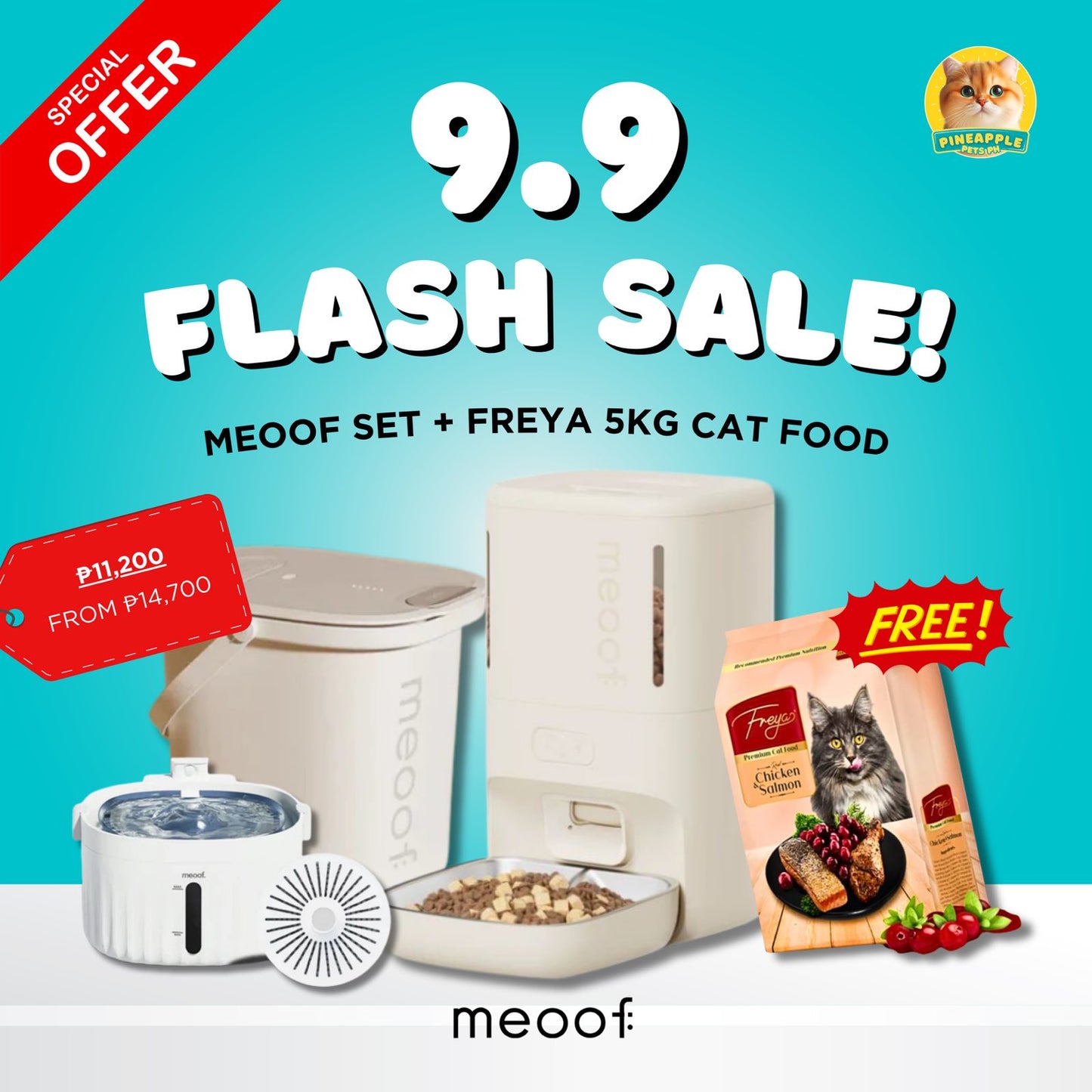 9.9 Meoof Automatic Feeder + Vacuum Bin with FREE Meoof Fountain and Freya 5kg Cat Food