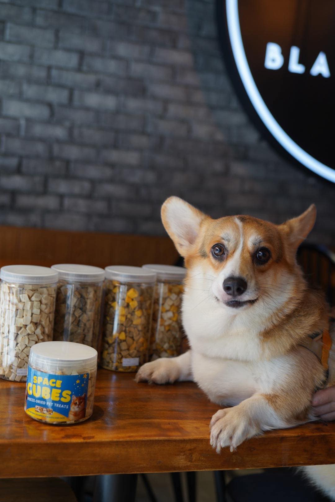 Space Cubes Freeze Dried Treats