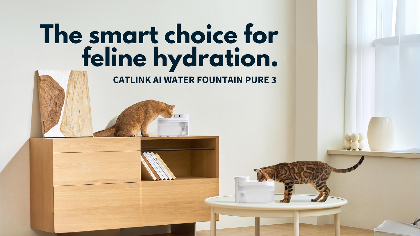 Catlink Pure 3 AI Wireless Fountain