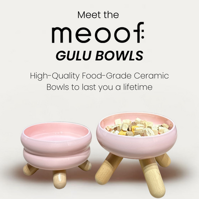 Meoof Gulu Bowls High-Quality Anti-spill Design Pet Bowls