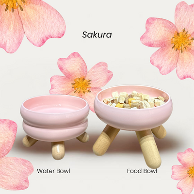 Meoof Gulu Bowls High-Quality Anti-spill Design Pet Bowls