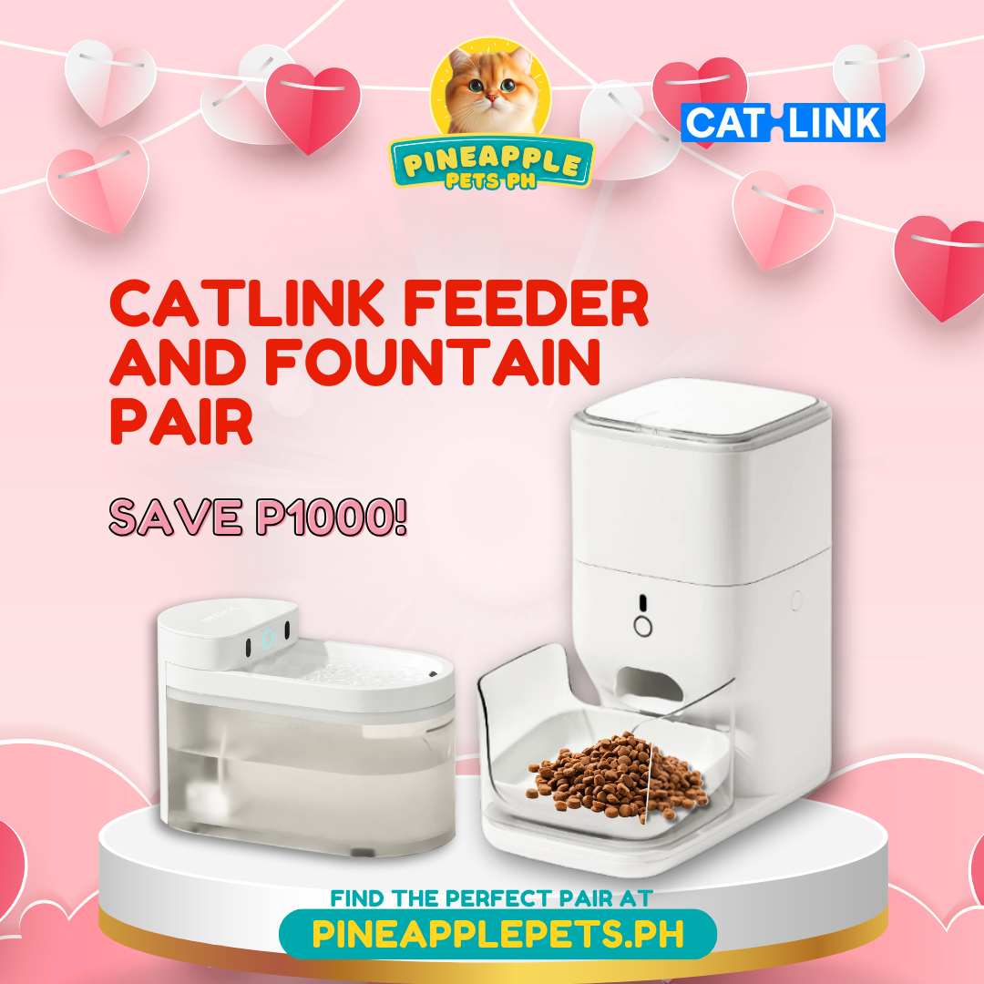 [VALENTINE'S PROMO] Catlink Smart Feeder and Fountain