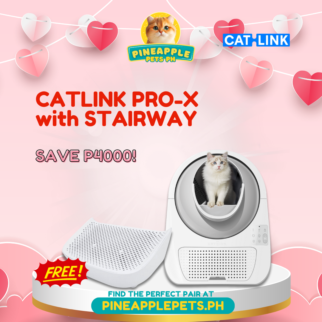 [VALENTINE'S PROMO] Catlink Pro-X with Free Stairway