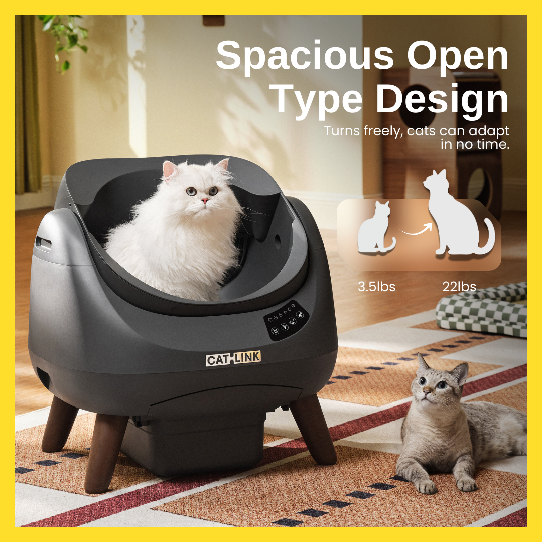 (ONHAND) CATLINK OPEN-X Automatic Litterbox with Free Catlink Fountain | Open-top, Smart, Real-time Notification, 1-year Warranty