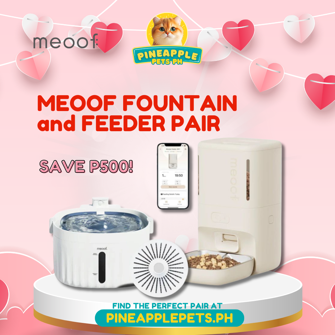 [VALENTINE'S PROMO] Meoof Smart Feeder and Fountain