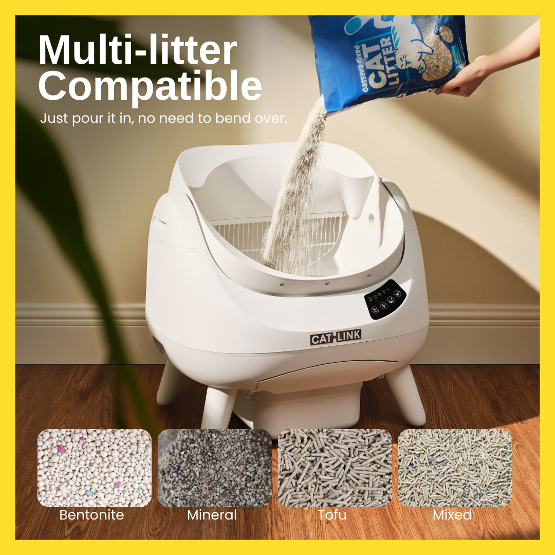 (ONHAND) CATLINK OPEN-X Automatic Litterbox with Free Catlink Fountain | Open-top, Smart, Real-time Notification, 1-year Warranty