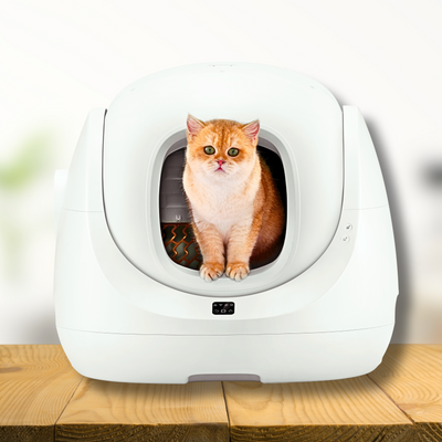 Catlink Baymax Scooper SE Automatic Litterbox