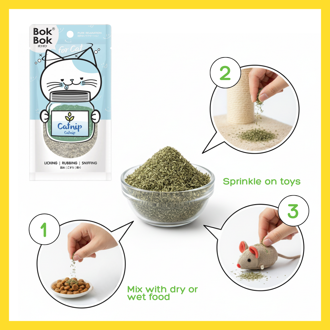 BokBok Catnip Cat Treats 25g