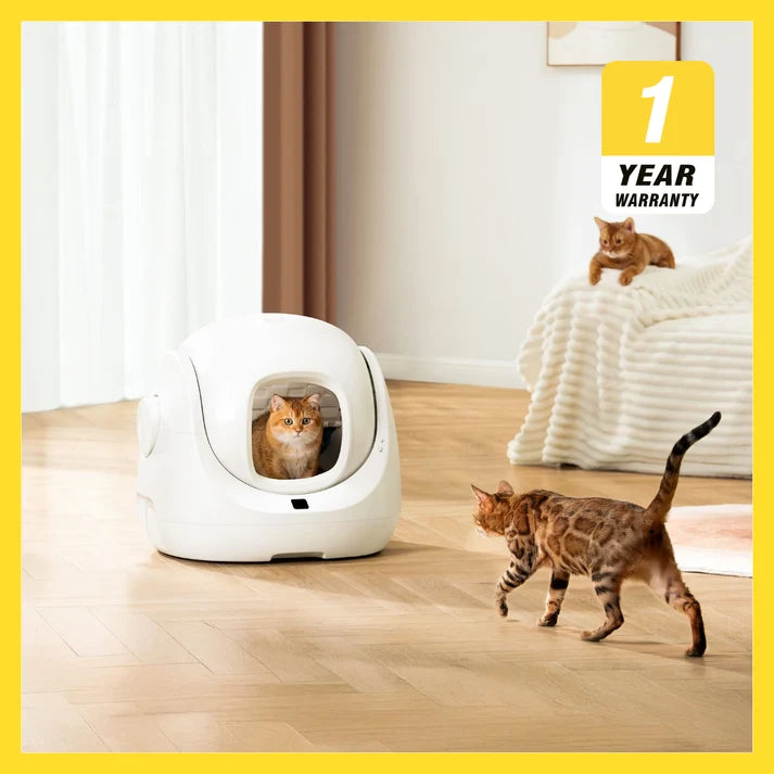 CLEARANCE SALE AUGUST 2026