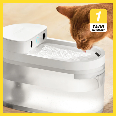 Catlink Pure 3 AI Wireless Fountain