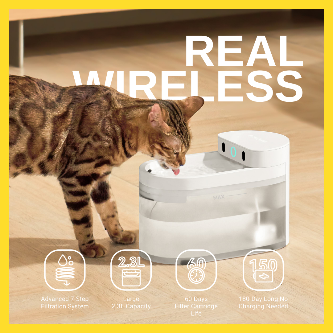 Catlink Pure 3 AI Wireless Fountain