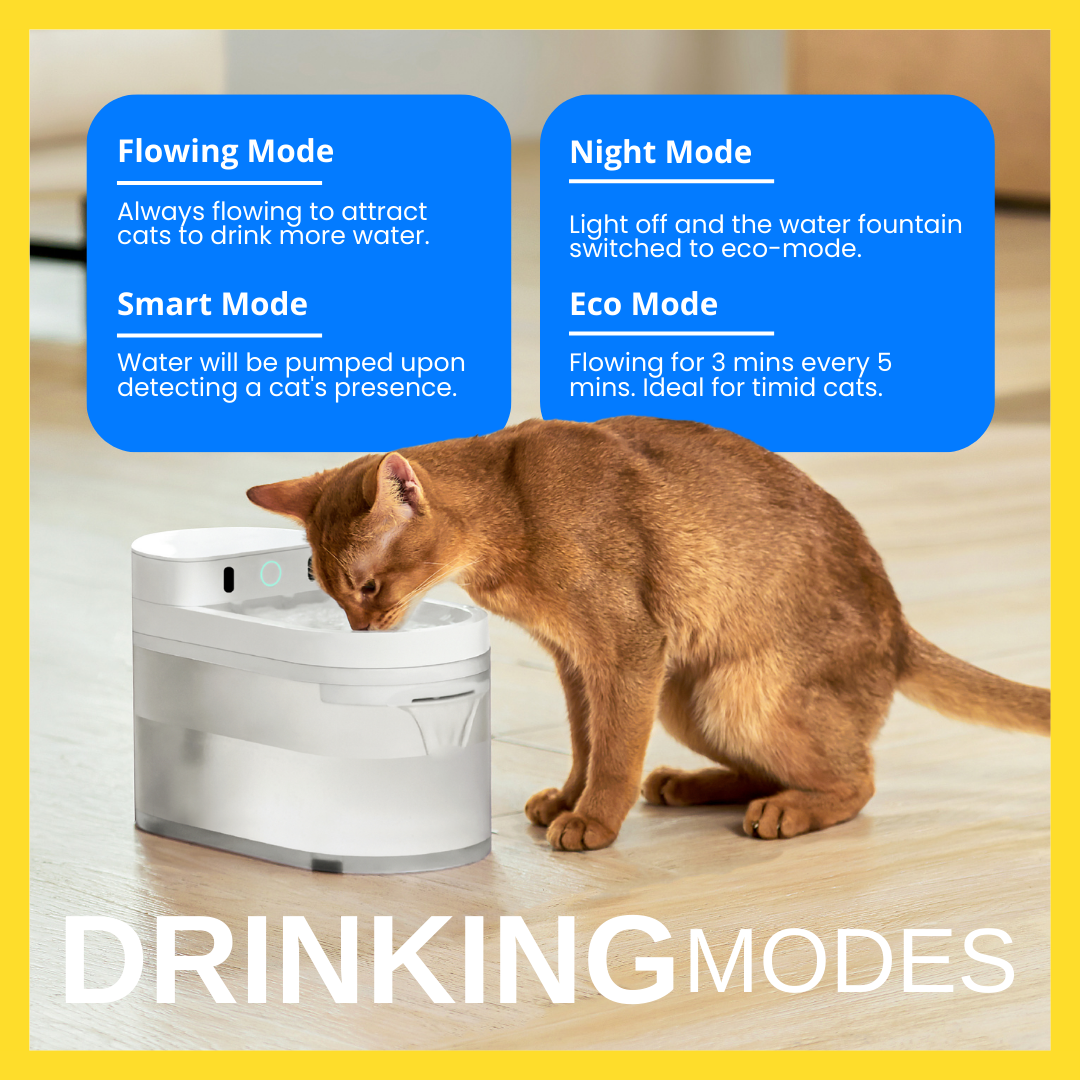 Catlink Pure 3 AI Wireless Fountain