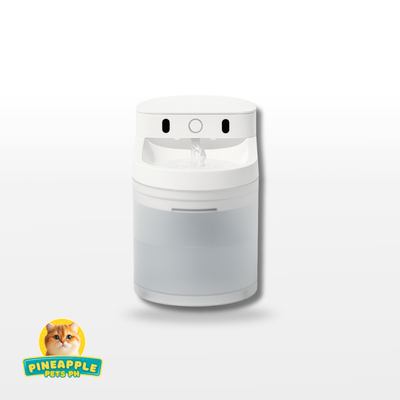 Catlink Pure 3 AI Wireless Fountain