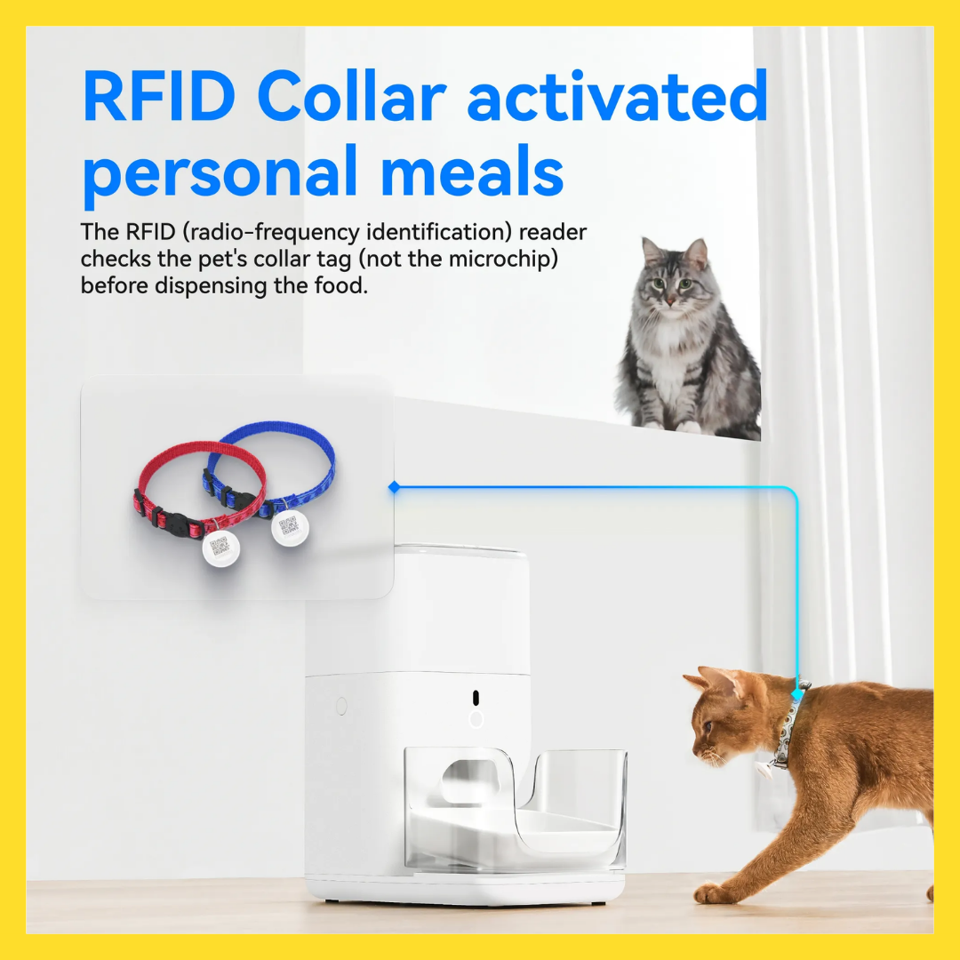 Catlink Feeder Fresh PRO Automatic Feeder (Multi-Cat)