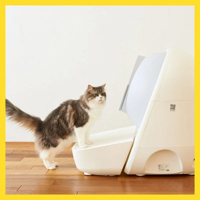 Catlink Stairs or Platform for Pro-x and Young